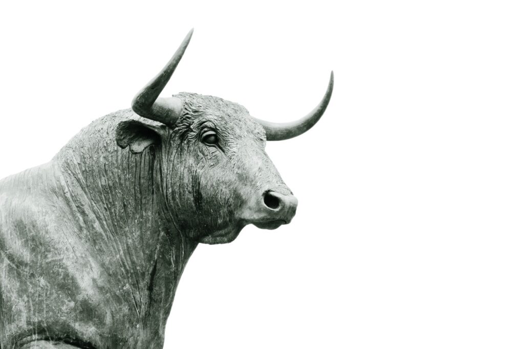 signs of crypto bull market